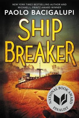 Ship Breaker foto