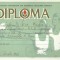 AMS# - DIPLOMA PIONER DIN CADRUL CONCURSULUI DE DESEN, din tabara Navodari, 1969