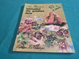 &Icirc;NT&Acirc;MPLĂRI DIN GRĂDINA MEA * ANA BLANDIANA* ILUSTRAȚII DOINA BOTEZ * 1980 / 3 4 8