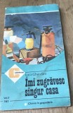 LITR28 Imi zugravesc singur casa - Luca Gherasim