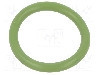 Garnitura O-ring, FPM, 21mm, 01-0021.00X3 ORING 75FPM GREEN
