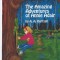 The Amazing Adventures of Annie Adair
