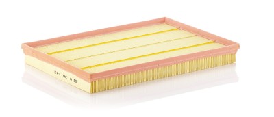 MANN-FILTER C 36 145 Filtru aer foto