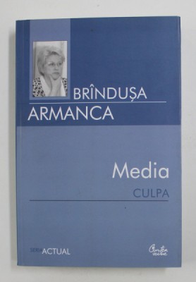 MEDIA CULPA de BRANDUSA ARMANCA , 2006 foto
