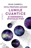 Ceva profund ascuns. Lumile cuantice și emergența spațiului-timp - Sean Carroll