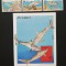 SOMALIA-RECHINI-3 Val.+1 Colita**SOM 157