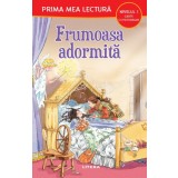 Frumoasa adormita (Nivelul 1 Carte cu pictograme)