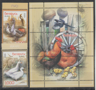 BELARUS 2009 PASARI DE CURTE - GAINI Serie 2 timbre+ Bloc MNH** foto