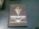 VITICULTURA - T. MARTIN