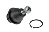 Rotula brat suspensie Ford Transit Tt9 2006-, Fata, Inferior, NTY ZSD-FR-006