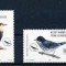 CIPRU - TURC 2003, Fauna, Pasari, serie neuzata, MNH