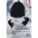 Numele tau si alte erezii - Ilinca Bernea