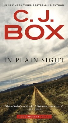 In Plain Sight foto
