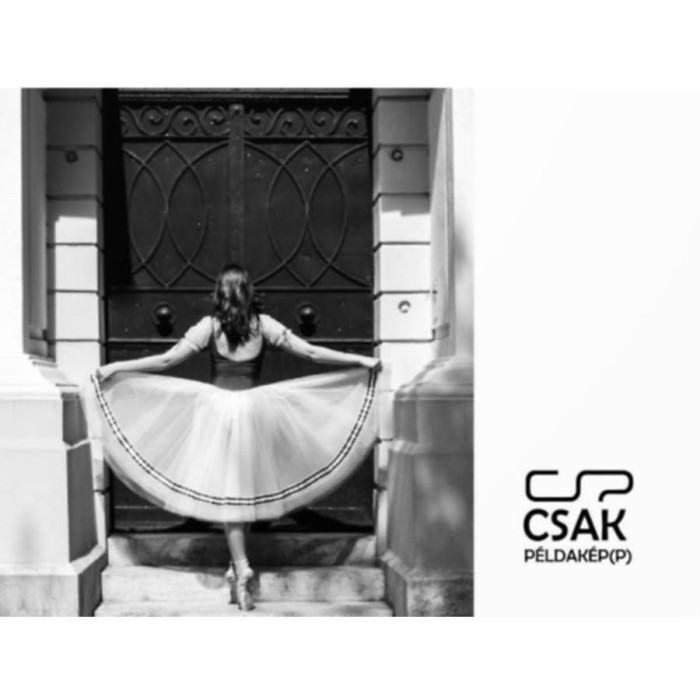 Csak p&eacute;ldak&eacute;p(p) - Porkol&aacute;b Gy&ouml;ngyi