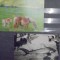 FAUNA - CAI PASCAND - ED. AMIS SANS FRONTIERS - COLOR , NECIRCULATA SI RECHIN ESUAT PE TARM - ALB- NEGRU,NECIRCULATA.