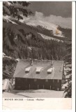 CPIB 18058 CARTE POSTALA - MUNTII BUCEGI. CABANA PADINA, RPR, Circulata, Fotografie