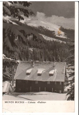 CPIB 18058 CARTE POSTALA - MUNTII BUCEGI. CABANA PADINA, RPR foto