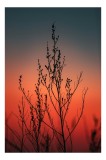 Tablou Canvas cu Siluete și Apus Multicolor pentru Decorarea Interiorului, 26 x 39 cm, CMCLASS