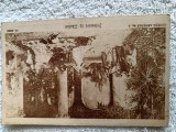 carte postala pictura ,, Petrecere cu lautari,, , pictor Theodor Amann .