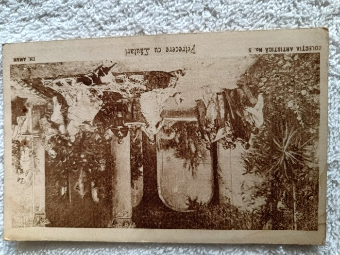 carte postala pictura ,, Petrecere cu lautari,, , pictor Theodor Amann .