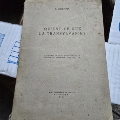 Qu est ce que la Transylvanie? - S. Mehedinti foto