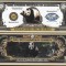 !!! SUA = FANTASY NOTE = PANDA - 2004 - UNC / SERIA SPECII AMENINTATE