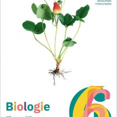 Biologie. Clasa a VI-a. Manual - Paperback brosat - Art Klett
