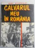 Calvarul Meu in Romania - Kurt Schieboldt - Carte Beletristica