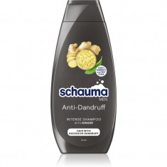 Schwarzkopf Schauma MEN sampon anti-matreata cu ghimbir pentru bărbați 400 ml