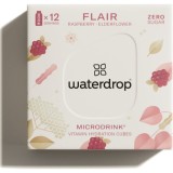 Waterdrop Microdrink băutură cu vitamine aroma Flair &ndash; Raspberry 12 buc