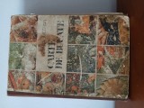 Carte De Bucate-Silvia Jurcovan
