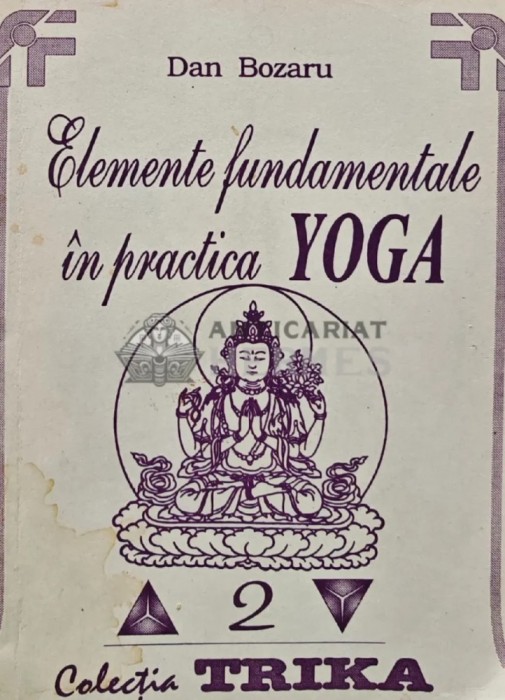 Elemente fundamentale in practica yoga - 1992 - Dan Bozaru (AQ218)