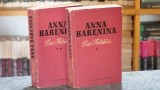 Cumpara ieftin Anna Karenina (2 volume; ed. Cartea rusa) - Lev Tolstoi