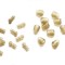 Falcon Quick Change Beads S