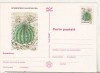 Bnk cp Cactusi - necirculata - marca fixa - 023/97