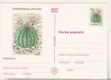 bnk cp Cactusi - necirculata - marca fixa - 023/97