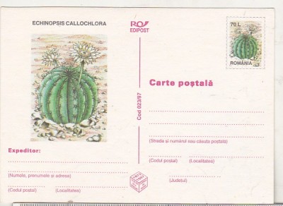 bnk cp Cactusi - necirculata - marca fixa - 023/97 foto