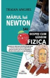 Marul lui Newton sau despre cum gandim fizica - Traian Anghel