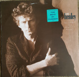 Vinil Don Henley &lrm;&ndash; Building The Perfect Beast (EX), Rock