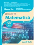 Culegere de matematica. Clasa a X-a. Semestrul I. Filiera teoretica, specializarea matematica-informatica