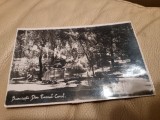 Carte Postala - Bucuresti. Vedere din Parcul Carol
