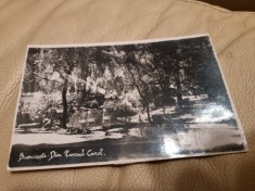 Carte Postala - Bucuresti. Vedere din Parcul Carol