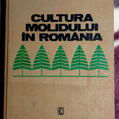 Cultura molidului Editura Ceres 1977