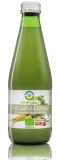 Suc de patrunjel lactofermentat bio 300ml Biofood