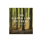 The Hidden Life of Trees: A Visual Celebration of a Magnificent World