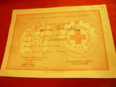 Diploma Crucea Rosie -Concurs tinut la Club Dinamo anii&amp;#039;50 -cu drept la insigna foto