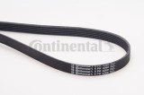 CONTINENTAL CTAM 6PK2260 Curea transmisie cu caneluri