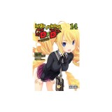 High School DXD, Vol. 14 (Light Novel): Volume 14