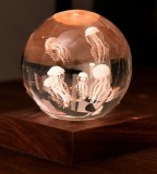 Lampa - Jellyfish | Gingko
