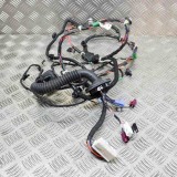 Cablaj Usa Dreapta Fata Tesla Model 3 2019 OEM 2067963-02-A